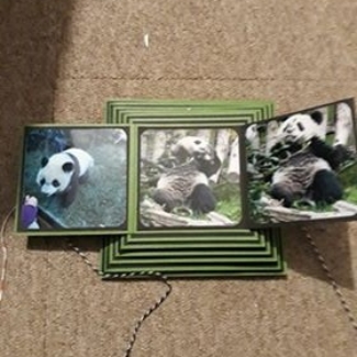 panda3